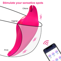 Stimulateur clitoridien sans fil, vibrateur papillon invisible en silicone, télécommande, culotte pour femmes, USB, 9 fréquences