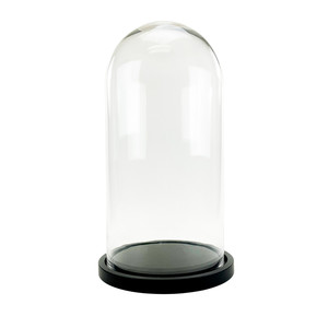 VDM1121WB - โดมแก้วขนาดใหญ่พร้อมฐานไม้สีดำ - 21 - Product Image 1