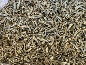 Exportando grandes cantidades de deliciosas anchoas secas, alimentos limpios y de alta calidad del proveedor - Product Image 5