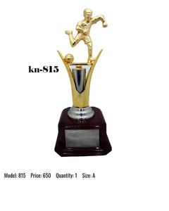 เหรียญรางวัลถ้วยรางวัลอลูมิเนียมเป็นมิตรต่อสิ่งแวดล้อมสไตล์กีฬาพิมพ์ลายด้วยแสงยูวีแบรนด์สำหรับอินเดีย - Product Image 2