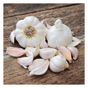 หลอดกระเทียมขาวธรรมชาติกลิ่นหอมเข้มข้นกลิ่นหอมแรงเหมาะสำหรับการทำอาหารใช้ดองและสมุนไพรแบบดั้งเดิม - Product Image 5