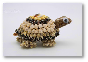 Vietnam Custom Eco-Friendly <b>Wooden</b> Seashell Animal Sculpture Toys for Home Wall Decor - Product Image 5