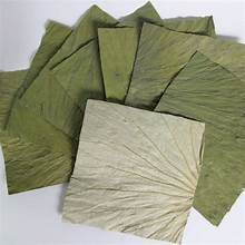 ผลิตภัณฑ์จากใบบัวแห้งสมุนไพรทั้งใบสะอาดใช้เป็นกิจวัตรเพื่อสุขภาพประจำวัน - Product Image 5