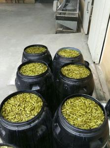 แตงกวาดองแบบเวียดนามแตงกวากรุบกรอบคุณภาพพรีเมี่ยมขายส่งเป็นกลุ่มเหมาะสำหรับโซ่ซุปเปอร์มาร์เก็ต - Product Image 5