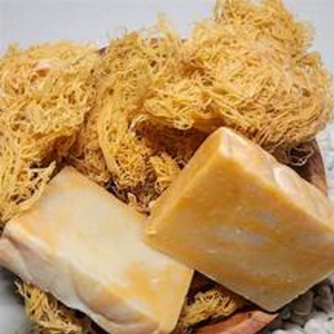 VENTE EN GROS SAVON EN MOUSSE DE MER/SAVON EN MOUSSE D'IRLANDAISE AVEC MOUSSE DE MER DE L'OCÉAN/HAUTE QUALITÉ ET MEILLEUR PRIX - Product Image 4