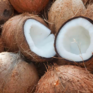 OFERTA CALIENTE 2024 PROVEEDOR DE VIETNAM COCO SECO CON ALTA CALIDAD Y BUEN PRECIO - Product Image 2