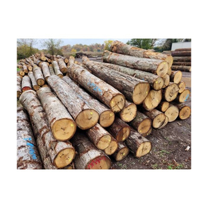 Discount price kiln dried Oak <b>Wood</b> <b>Logs</b> for efficient processing and storage - Product Image 6