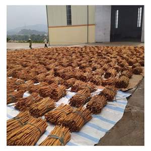 Productos de la Mejor Calidad 100% - Palo de Canela Largo/ Dalchini/ Qirfa - Productos Vietnamitas de Alta Calidad - Product Image 1