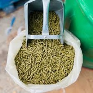 Buy Organic Alfalfa Hay <b>Pellets</b> for Horses Cattle Dogs at Farm Price Also for Fish and Fish Meal - Product Image 2