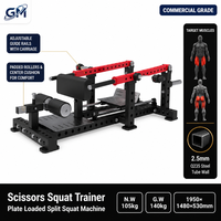 Appareil de Squat à Ciseaux à Charge par Plaques OEM ODM avec Rouleaux en Mousse et Plaques de Repose-Pieds pour Entraînement de Force en Salle de Sport Commerciale