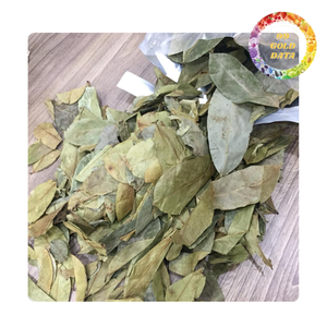 Hojas de Guanábana puras y frescas | ideal para experiencias de té de hierbas cálidas, calmantes y aromáticas - Product Image 3