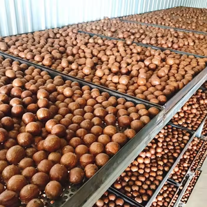 Nueces de Macadamia orgánicas bajas en grasa, deliciosos bocadillos de granos tostados, alimentos saludables de bajo precio directamente de la fuente - Product Image 4