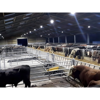 Structure en acier à grande portée pour abri de bétail / hangar à vaches, bâtiment agricole en acier, installation d'élevage laitier