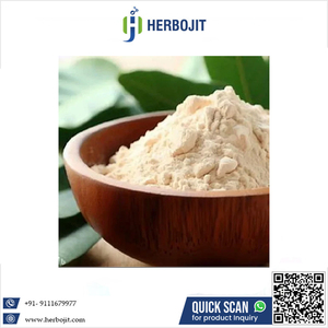 Polvo de Almendra Dulce de Calidad Superior, Grado Alimenticio, Secado por Aspersión, Color Marrón Claro, 100% Natural, Empaquetado a Granel, Precio Competitivo - Product Image 6