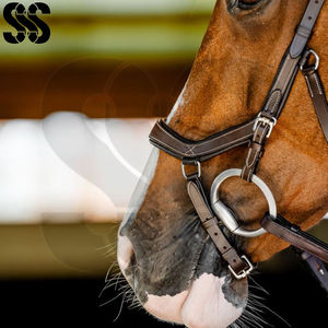 Brida para Caballo Duradera, Totalmente Personalizable, Ajustable, de Alta Calidad, Cuero Suave, Acolchado Suave, Herrajes de Acero Inoxidable, Colores Personalizados - Product Image 5