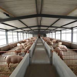 Struttura in acciaio a basso prezzo casa di allevamento di suini automatico capannone per suini prefabbricato penna sistema di alimentazione di porco kit per la casa del maiale - Product Image 1