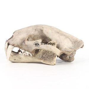 Figura esculpida de animales de resina Premium Tradebyd, pieza de arte decorativa hecha a mano única para decoración moderna del hogar - Product Image 4