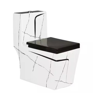 Productos sanitarios decorativos para el hogar, combo de inodoro de una pieza, armario de agua de lujo, juego de inodoro de baño de cerámica - Product Image 3