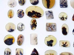 Lot en gros de cabochons d'agate dendritique Shazar naturelle, forme fine, haute qualité, pierres précieuses en quartz en vrac pour la fabrication de bijoux - Product Image 2