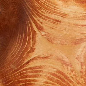 Bol de service léger en bois véritable naturel poli à la main, taille personnalisée, racine sculptée créative, écologique, décoratif, plante - Product Image 5