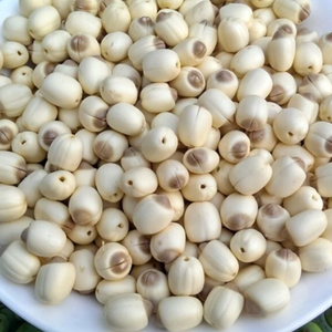 เมล็ดบัวแห้งขายส่ง คุณภาพสูงและยั่งยืน - Product Image 5