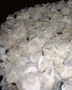 ÉCHELLE DE POISSON PREMIUM / ADAPTÉE POUR LE COLLAGÈNE, LA GÉLATINE / BIO-PROCESSING - Product Image 6