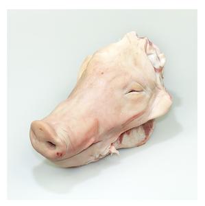 Cabezas de Cerdo Enteras Congeladas - Carne de Alta Calidad para Procesamiento y Cocina (10kg-12kg) - Precios de Mayoreo y Envío Global - Product Image 1