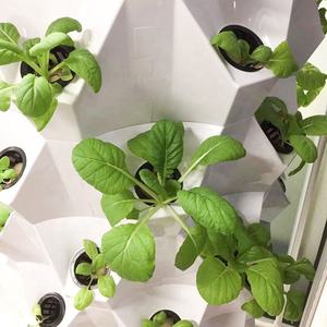 Modernos Sistemas Hidropónicos Inteligentes con Torre Aeropónica para el Cultivo de Cultivos en Interiores - Product Image 2