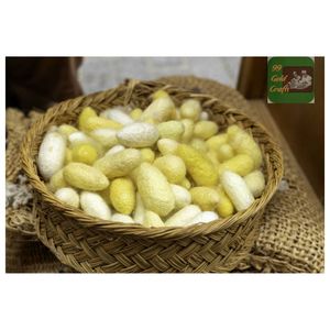 Bolas de Seda de Morera Premium para Limpieza Facial, Exfoliante Natural de Seda de Morera para el Cuidado de la Piel - Product Image 5