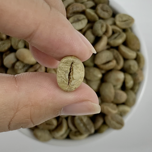 กาแฟโรบัสต้าเวียดนามเมล็ดดิบคั่วธรรมชาติ S18 ยี่ห้อ NT COFFEE เกรด 1 ราคาส่ง ปริมาณสั่งซื้อขั้นต่ำน้อย ราคาแข่งขัน - Product Image 1