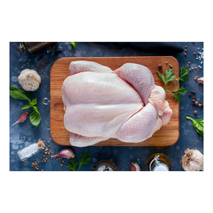 Viande de poulet entière congelée de qualité supérieure, fraîche, à prix bas, parmi les meilleures ventes - Product Image 5