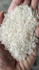 ข้าว 2025 ข้าวพันธุ์ใหม่ เมล็ดกลาง ต้นกำเนิดเวียดนาม คุณภาพเยี่ยม - Product Image 3