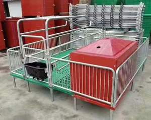 Nuevas jaulas de parto para cría de cerdos Garantía de 1 año Equipo de camas de gestación de cerdas para producción de cerdos - Product Image 6