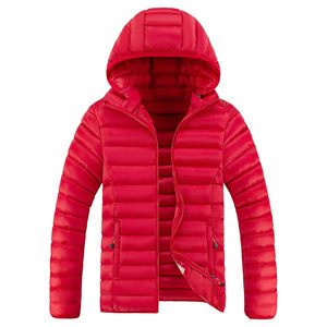 Vestes matelassées en duvet personnalisées pour hommes, duvet d'oie, veste d'extérieur pour hommes - Product Image 1