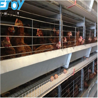 Cage à poules automatique de type H, cages à batterie galvanisées à chaud pour élevage de poules pondeuses, équipement avicole en Malaisie