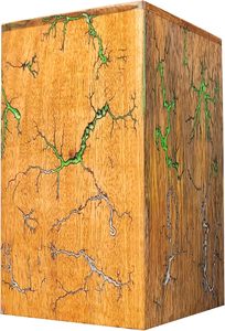 Urne en palissandre pour cendres humaines-Lichtenberg Figure Urne pour cendres humaines Urne de crémation Adulte Grandes cendres funéraires (Grand) - Product Image 5
