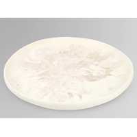 Assiettes et plats en résine au design de dinosaure, forme ronde, motif personnalisé, moderne, passe au lave-vaisselle, plat de service pour aliments