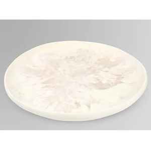 Assiettes et plats en résine au design de dinosaure, forme ronde, motif personnalisé, moderne, passe au lave-vaisselle, plat de service pour aliments - Product Image 1