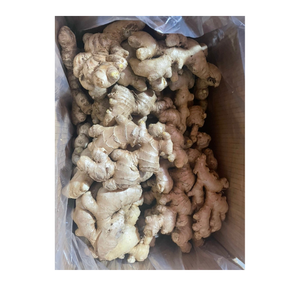 Gingembre frais de haute qualité avec un arôme puissant à peau lisse et une saveur naturelle adaptée à l'exportation et à l'approvisionnement en gros - Product Image 4