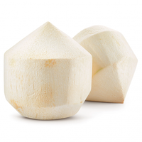 DELICIOSO COCO JOVEN FRESCO/AGUA DULCE Y DE CULTIVO ORGÁNICO/HECHO EN VIETNAM/HAGA CLIC PARA UN DESCUENTO EXCLUSIVO