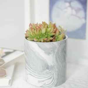 POTS DE FLEURS - Product Image 5