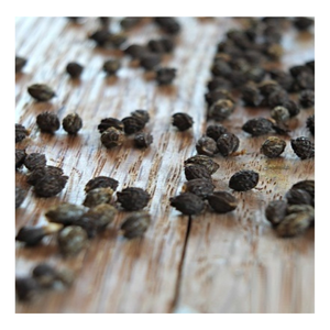 เมล็ดมะละกอสำหรับเพาะเมล็ดมะละกอสำหรับทำความสะอาดและใช้ในอุตสาหกรรม - Product Image 1