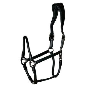 Halter de cuello de cabeza de caballo de cuero completamente elevado y acolchado con accesorios de latón Color marrón ajustable - Product Image 2