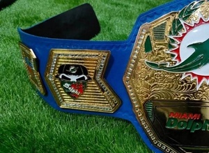 Cinturón pesado de cuero genuino suave personalizado de 4mm para torneos de artes marciales Champion Award Front Legacy Competition Gear - Product Image 3