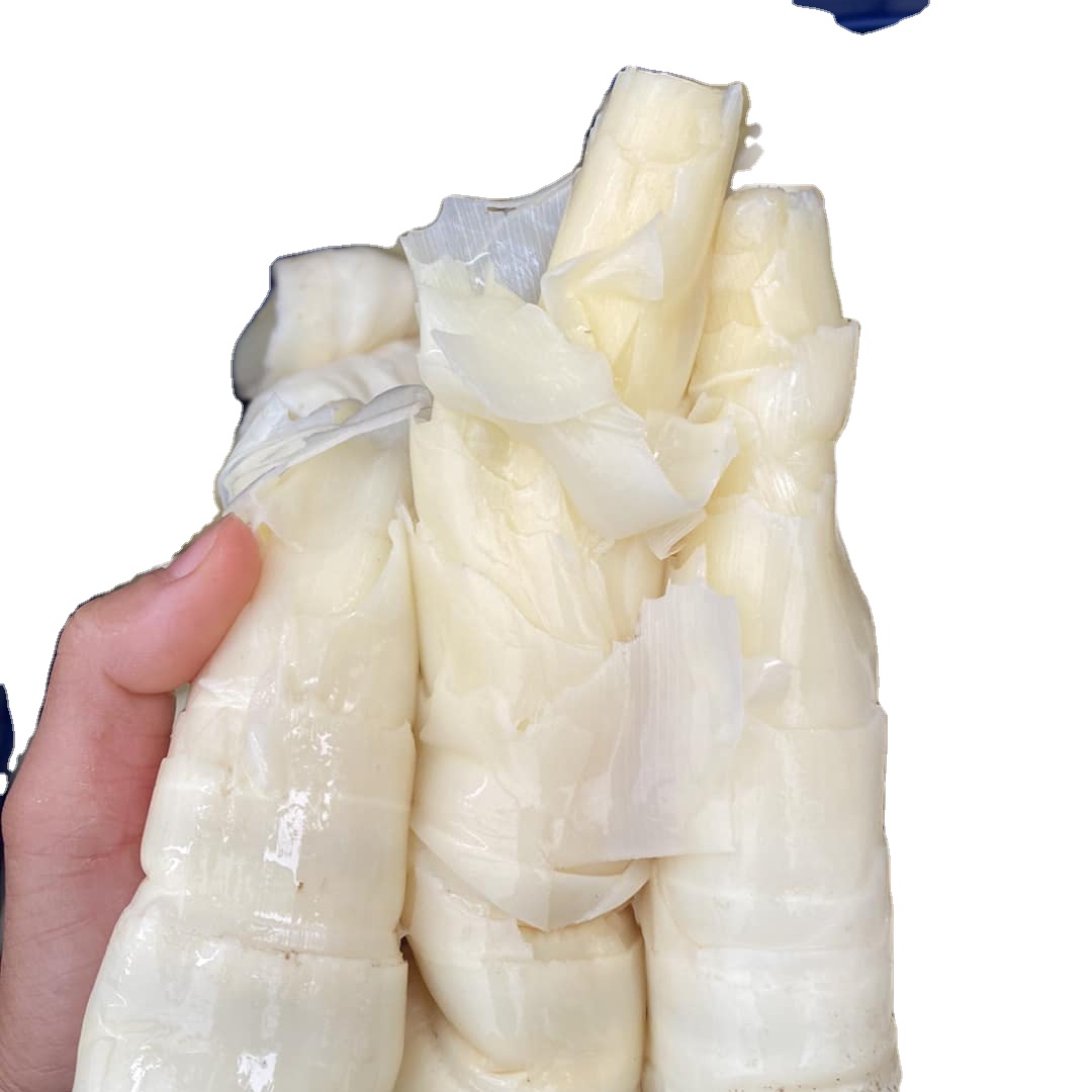 Пищевые маринованные детские бамбуковые ломтики, традиционные вьетнамские бамбуковые овощи, экспортирующие на рынок Японии, Европы, США, Корея