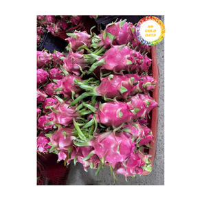 ผลไม้สดจากเวียดนามเนื้อมังกรหวานสีขาวเหมาะสำหรับการทำขนมและธุรกิจส่งออก - Product Image 2