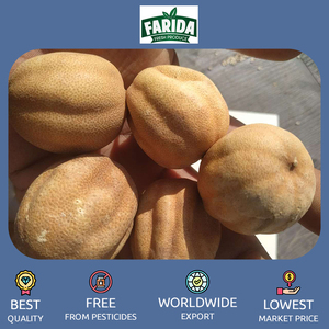 Cítricos frescos orgánicos de la mejor calidad, delicioso limón seco amarillo negro nutritivo, precio bajo, directo del principal exportador - Product Image 5