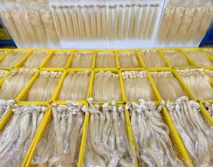 ผมแท้จากอินเดียแบบเรมี่  ไม่ผ่านการแปรรูป  จัดเรียงเกล็ดผม  ผมดิบ  แข็งแรง  หนา  สำหรับต่อผมด้วยเครื่อง - Product Image 4