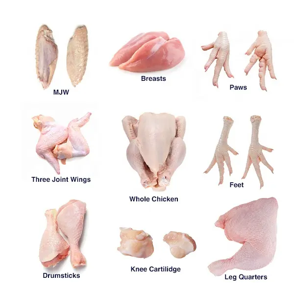 Günstige Niedriger Preis Hochwertige Halal Frozen Chicken Feet/Paws zum Verkauf