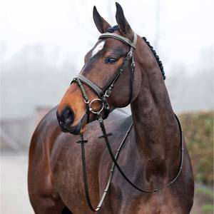 Soft Padded Bridle W/ Reins - Dark Brown Smart Entertainment <b>Outdoor</b> <b>Affordable</b> <b>Luxury</b> <b>Sports</b> Horse Racing Bridle - Product Image 1